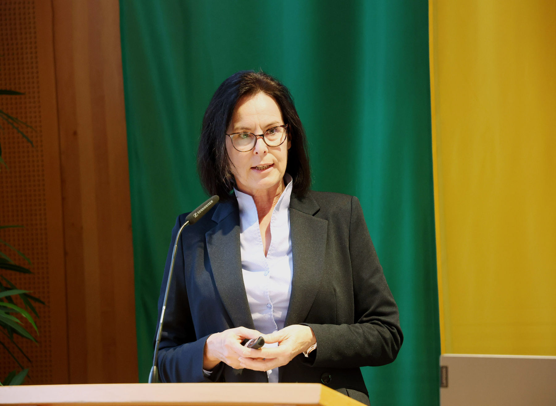 Mag. Inge Della Pietra, Referatsleiterin Interne Dienste und Kammeramtsdirektorstellvertreterin..jpg © Wajand Mag. Inge Della Pietra, Referatsleiterin Interne Dienste und Kammeramtsdirektorstellvertreterin..jpg © Wajand