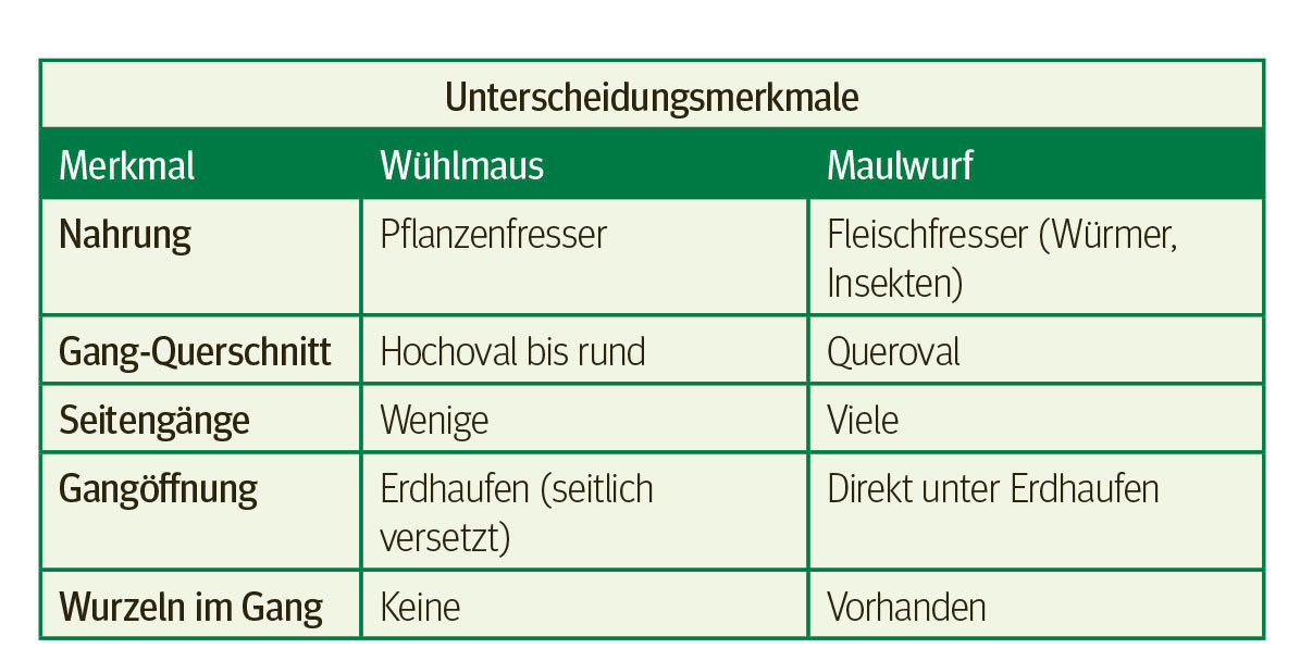 LWB-3-Seite-4.jpg © Archiv LWB-3-Seite-4.jpg © Archiv