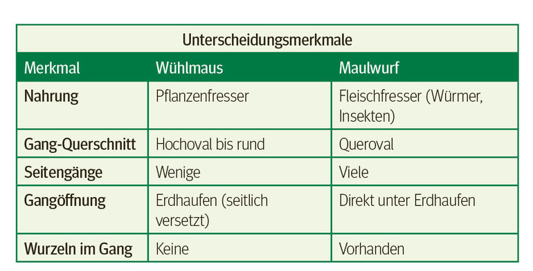 LWB-3-Seite-4.jpg © Archiv LWB-3-Seite-4.jpg © Archiv