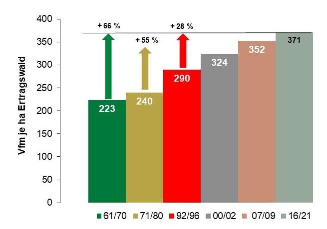 Grafik Holzvorrat.jpg