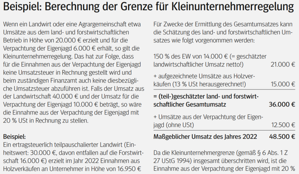 Beispiel - Grenze für Kleinunternehmerregelung.png © LK-Kaernten Beispiel - Grenze für Kleinunternehmerregelung.png © LK-Kaernten