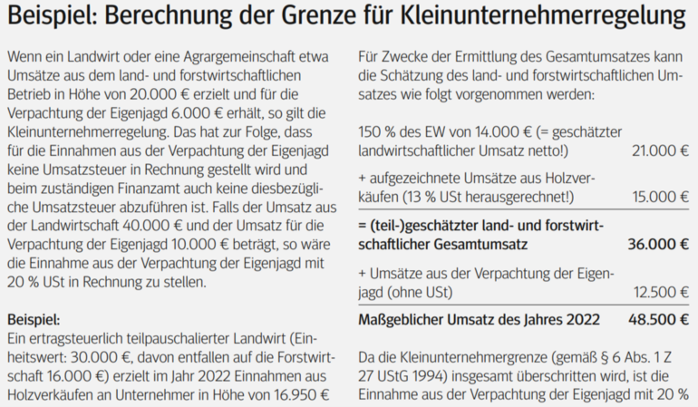 Beispiel - Grenze für Kleinunternehmerregelung.png © LK-Kaernten Beispiel - Grenze für Kleinunternehmerregelung.png © LK-Kaernten