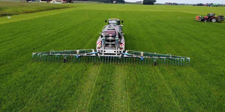 Schleppschuh Grasbestand hoch.jpg Schleppschuh Grasbestand hoch.jpg
