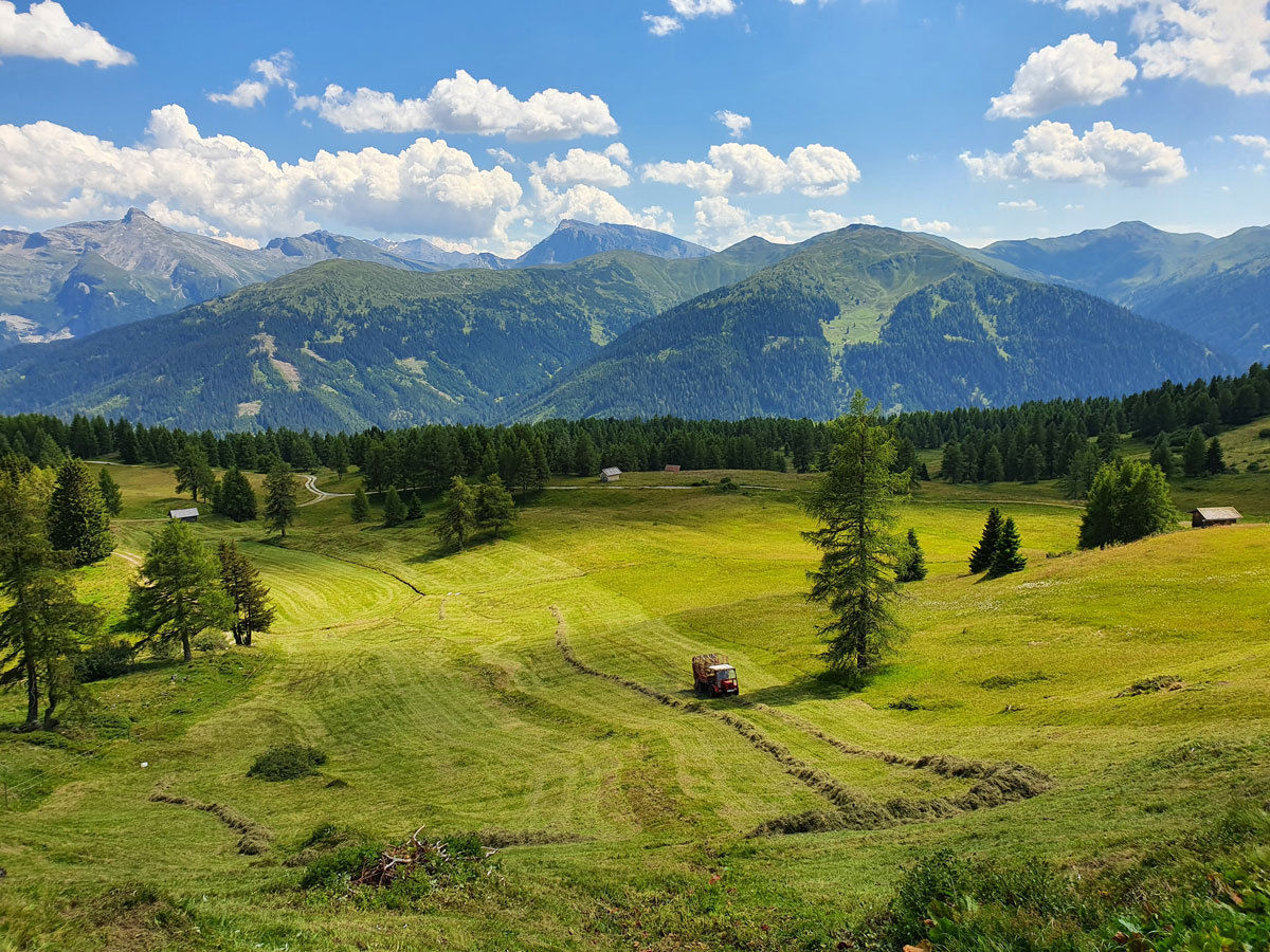 20200728_145537.jpg © Strickner 20200728_145537.jpg © Strickner