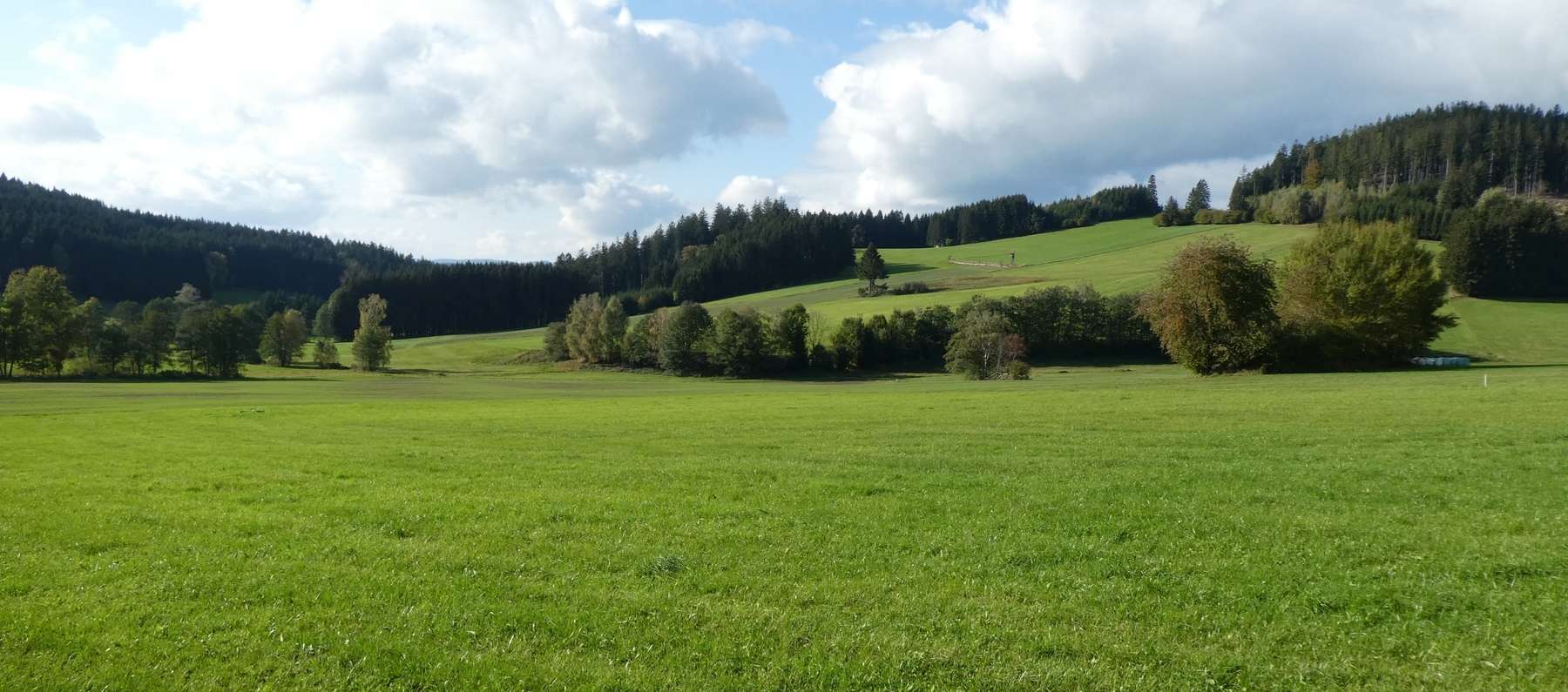 Grünlanderhaltung.jpg © Landwirtschaftskammer Oberösterreich/Thumfart Grünlanderhaltung.jpg © Landwirtschaftskammer Oberösterreich/Thumfart