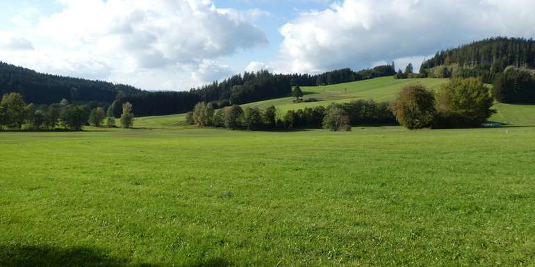 Grünlanderhaltung.jpg Grünlanderhaltung.jpg