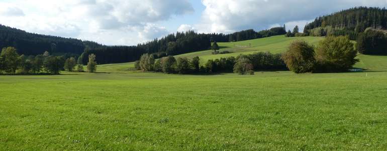 Grünlanderhaltung.jpg © Landwirtschaftskammer Oberösterreich/Thumfart