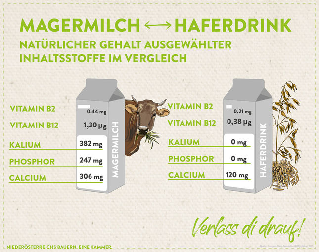 Kuhmilch oder Imitat? Wer seinen Tagesbedarf an wichtigen Vitaminen und Mineralstoffen gut abdecken möchte, sollte auf die echte Milch greifen. © Marlene Weitzenböck/LK Niederösterreich Kuhmilch oder Imitat? Wer seinen Tagesbedarf an wichtigen Vitaminen und Mineralstoffen gut abdecken möchte, sollte auf die echte Milch greifen. © Marlene Weitzenböck/LK Niederösterreich