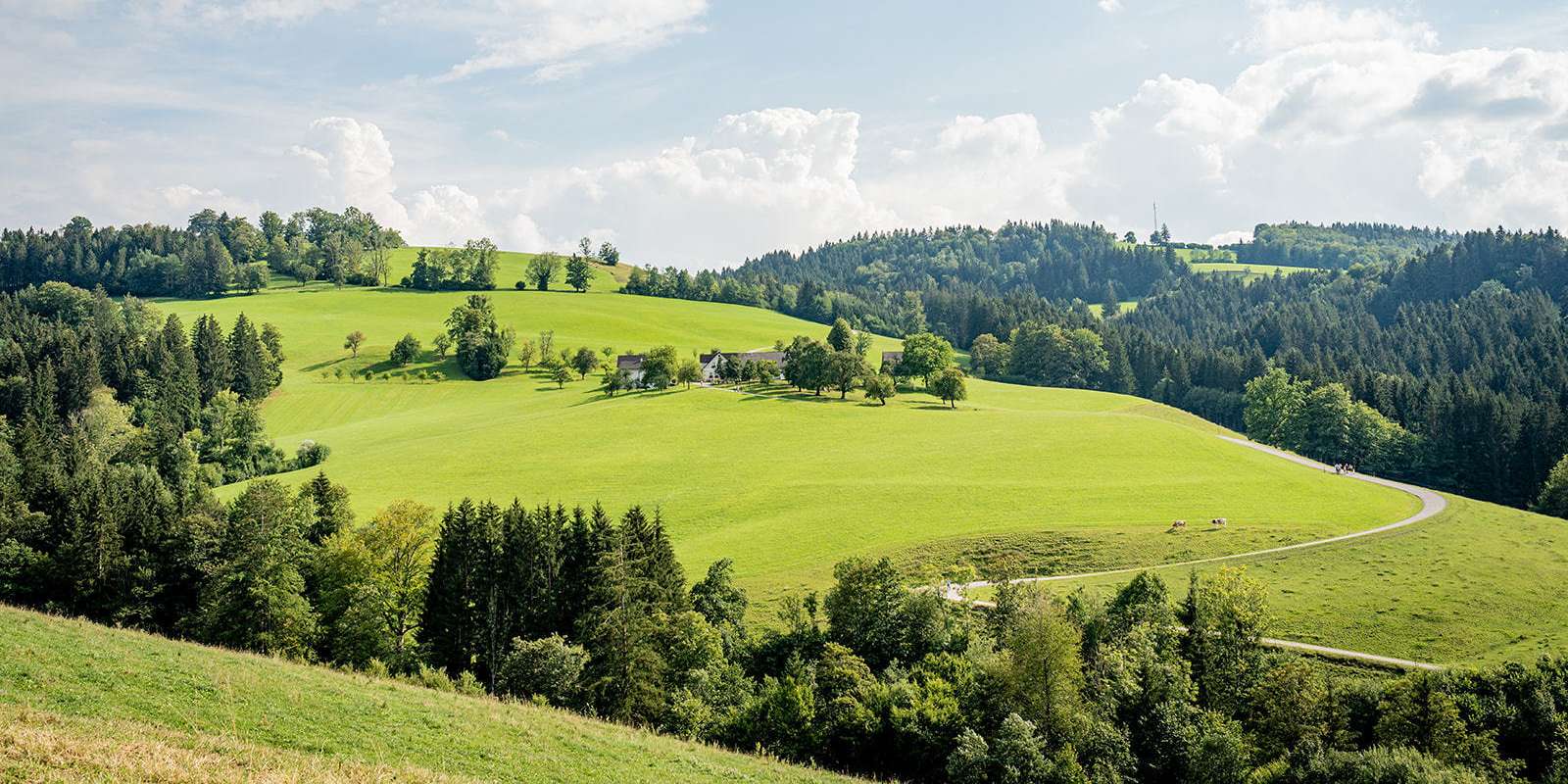 Bäuerinnen und Bauern sorgen mit ihren Milchkühen für gepflegte Landschaften und wahre Erholungsoasen. © Georg Pomaßl/LK Niederösterreich Bäuerinnen und Bauern sorgen mit ihren Milchkühen für gepflegte Landschaften und wahre Erholungsoasen. © Georg Pomaßl/LK Niederösterreich