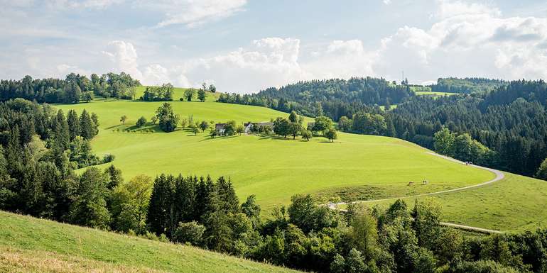 Bäuerinnen und Bauern sorgen mit ihren Milchkühen für gepflegte Landschaften und wahre Erholungsoasen.