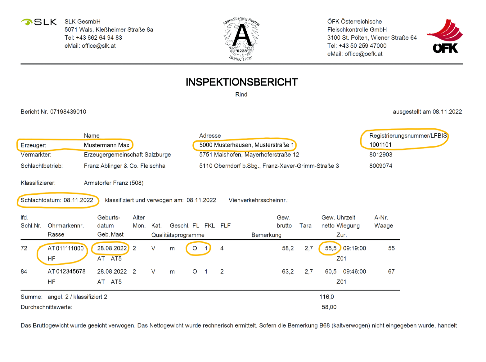 Milchkalb: Das ist für eine Förderung zu beachten.png © Archiv Milchkalb: Das ist für eine Förderung zu beachten.png © Archiv