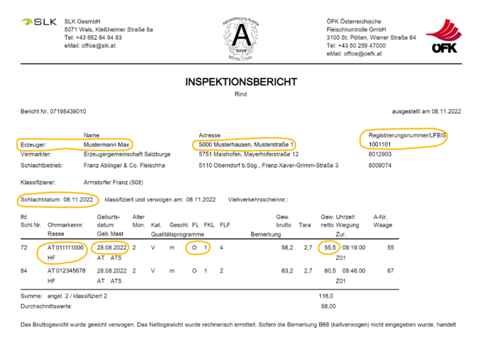 Milchkalb: Das ist für eine Förderung zu beachten.png