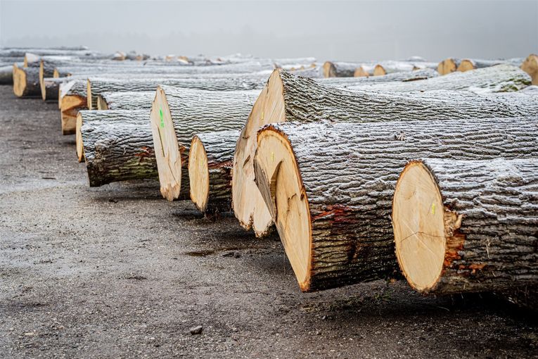 © Georg Pomaßl/LK Niederösterreich