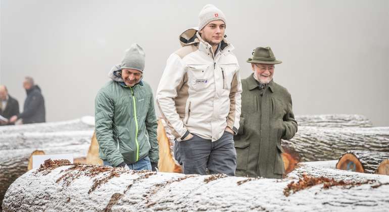 POMASSL-03136.jpg © Georg Pomaßl/LK Niederösterreich POMASSL-03136.jpg © Georg Pomaßl/LK Niederösterreich