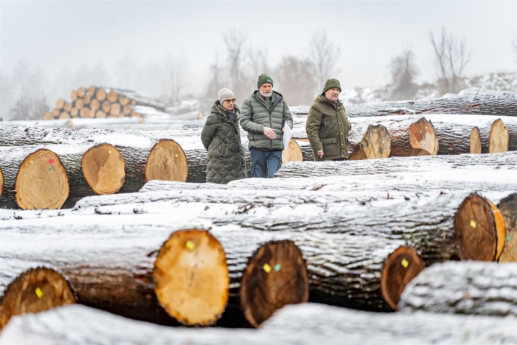 © Georg Pomaßl/LK Niederösterreich © Georg Pomaßl/LK Niederösterreich