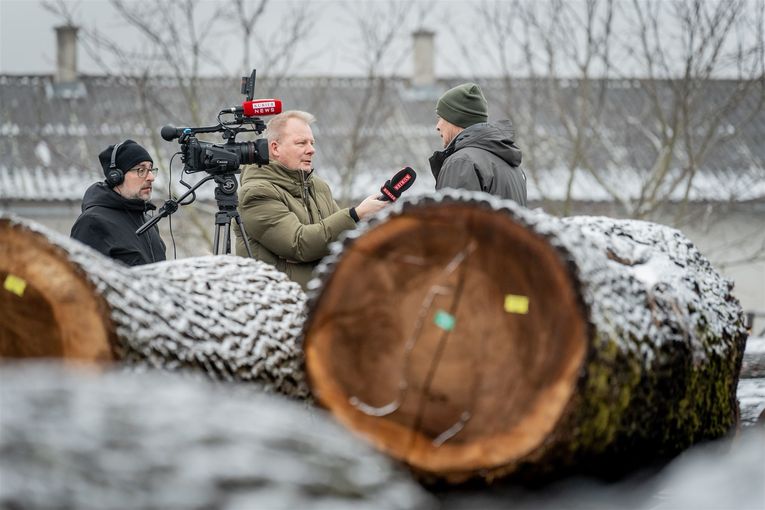 © Georg Pomaßl/LK Niederösterreich