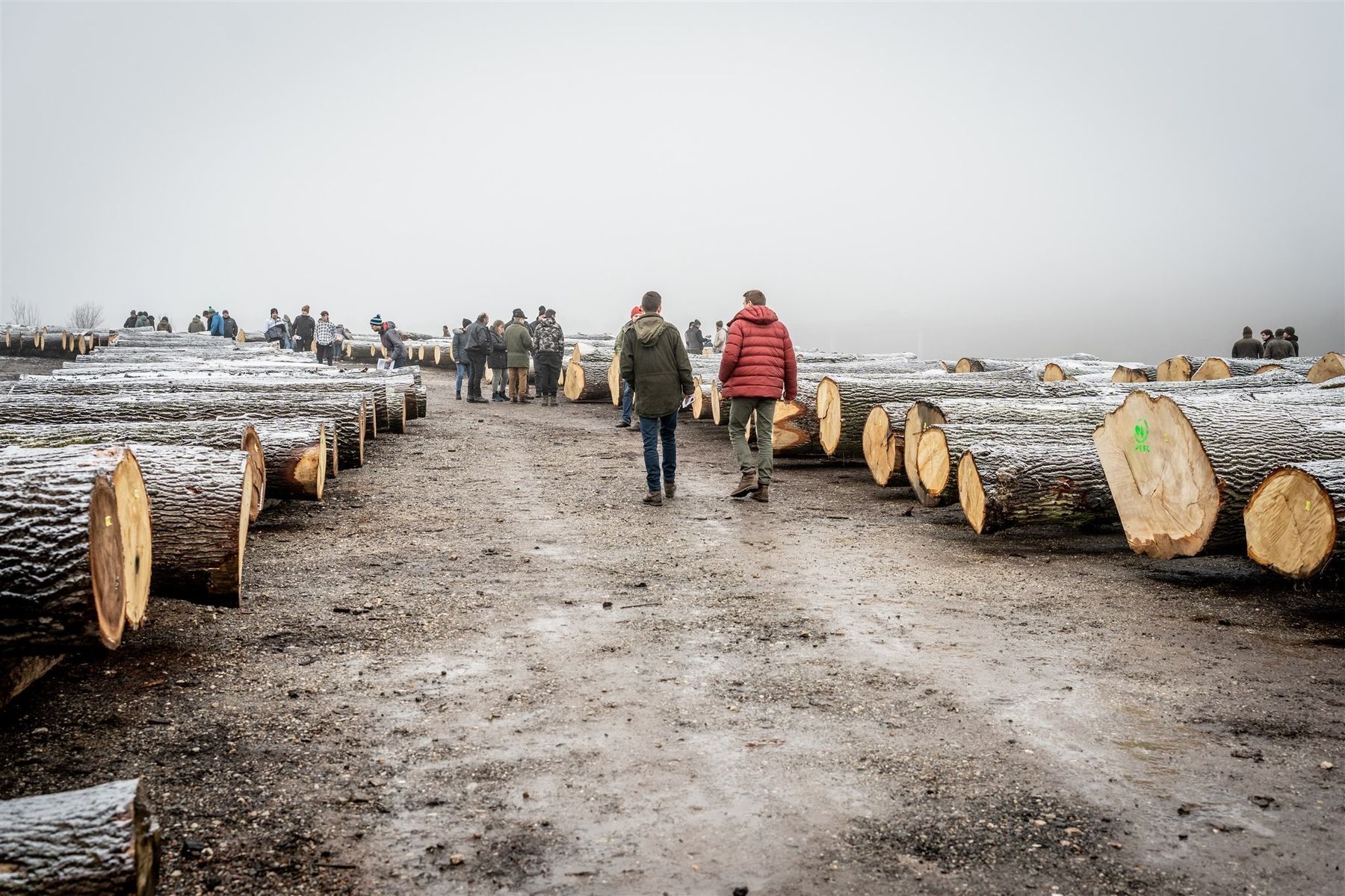 © Georg Pomaßl/LK Niederösterreich © Georg Pomaßl/LK Niederösterreich