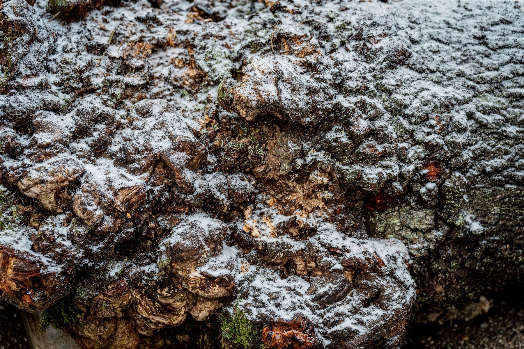 © Georg Pomaßl/LK Niederösterreich © Georg Pomaßl/LK Niederösterreich