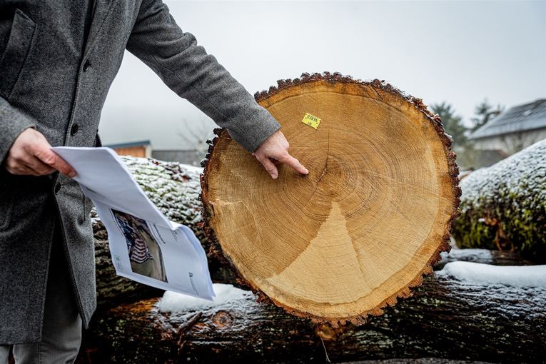 © Georg Pomaßl/LK Niederösterreich