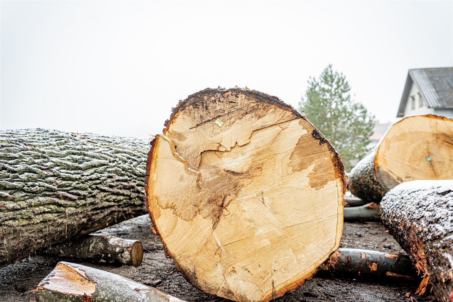 © Georg Pomaßl/LK Niederösterreich © Georg Pomaßl/LK Niederösterreich