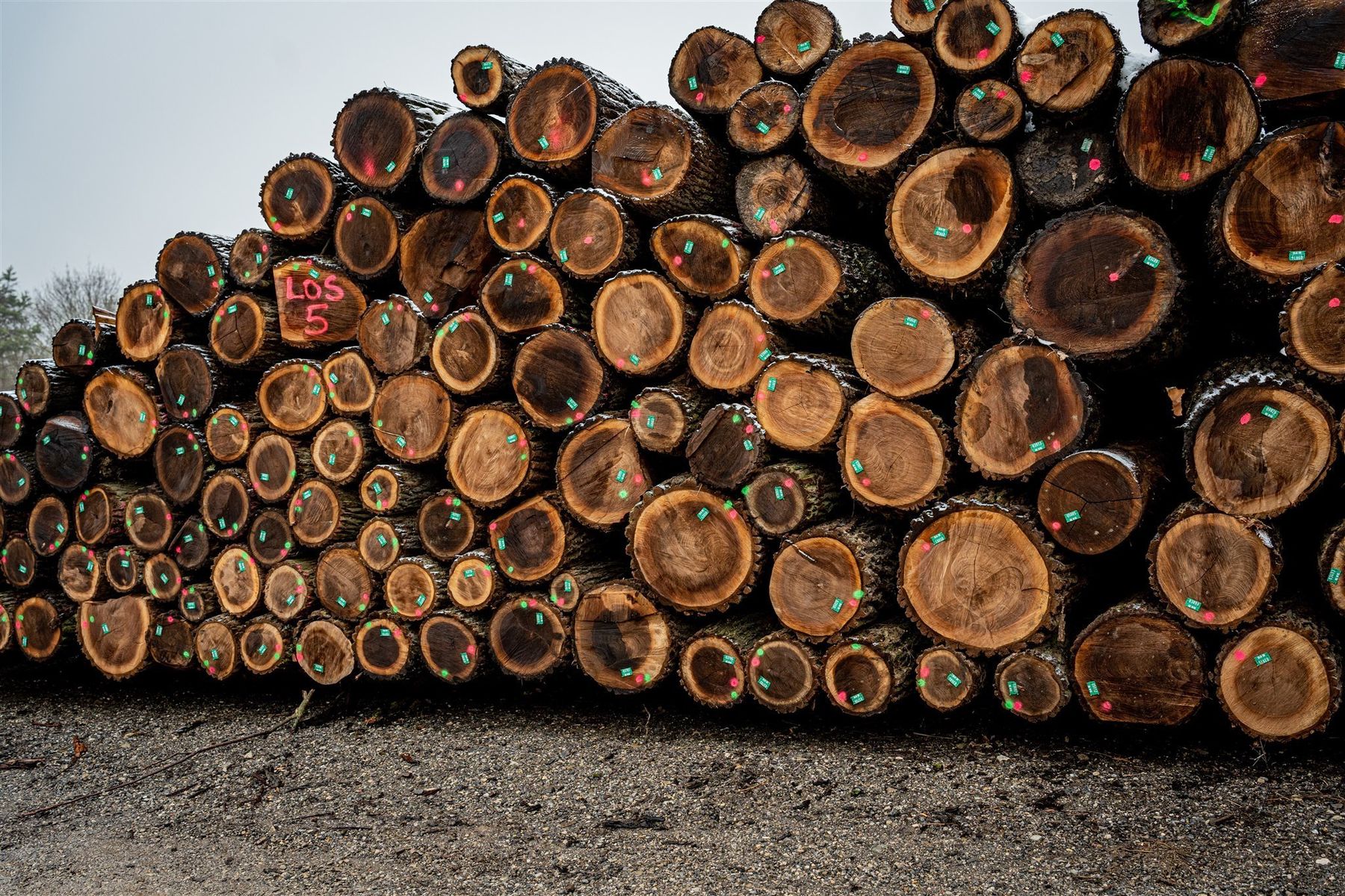 © Georg Pomaßl/LK Niederösterreich © Georg Pomaßl/LK Niederösterreich