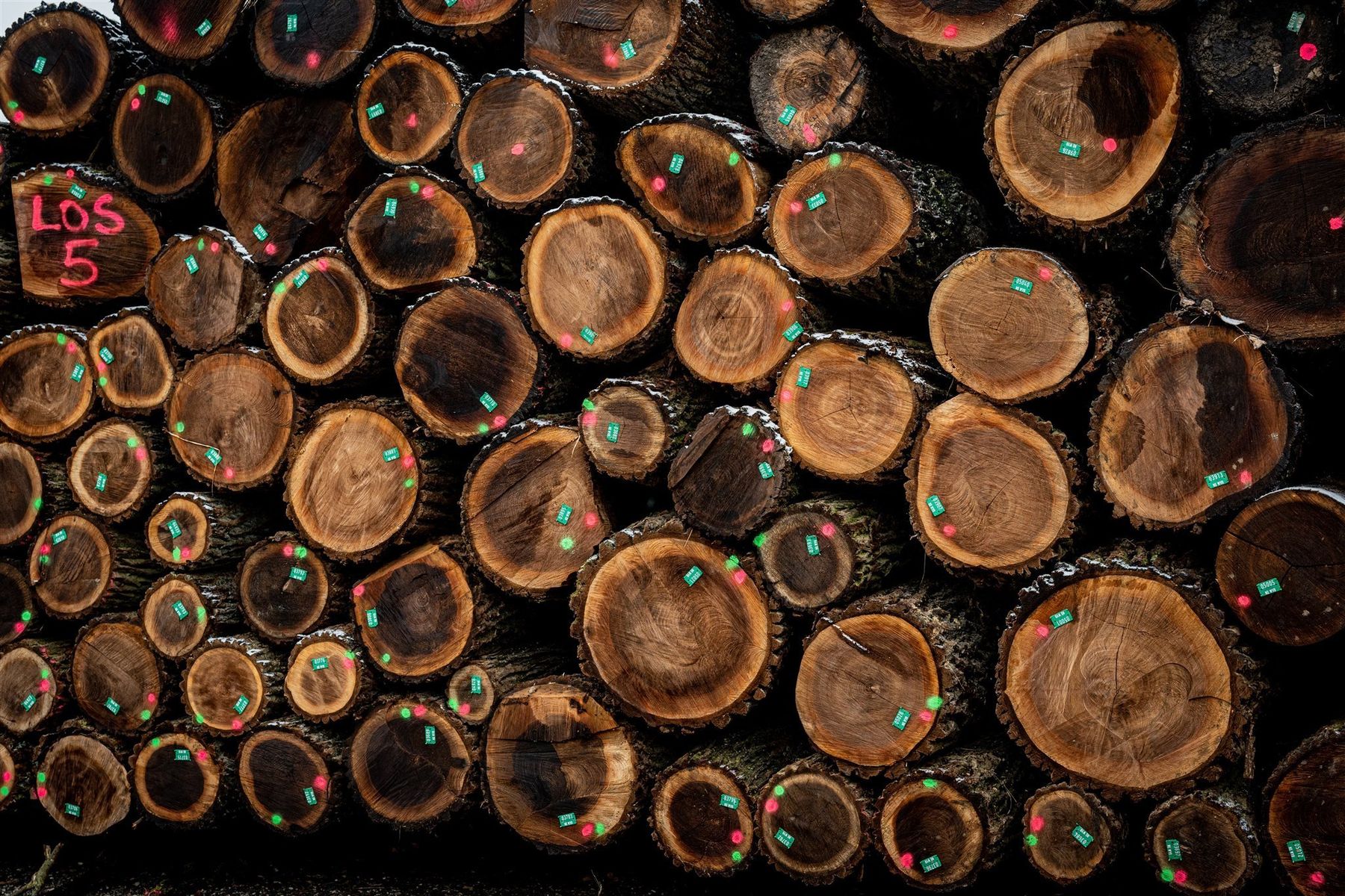 © Georg Pomaßl/LK Niederösterreich © Georg Pomaßl/LK Niederösterreich