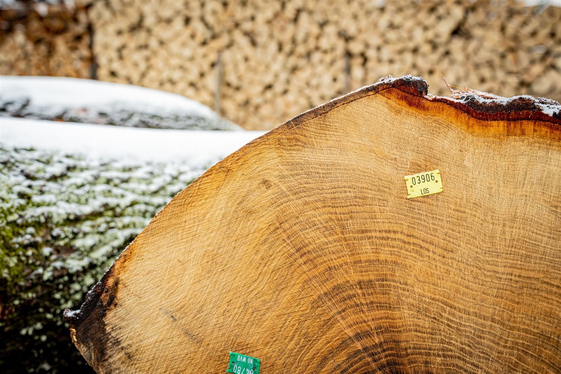 © Georg Pomaßl/LK Niederösterreich © Georg Pomaßl/LK Niederösterreich