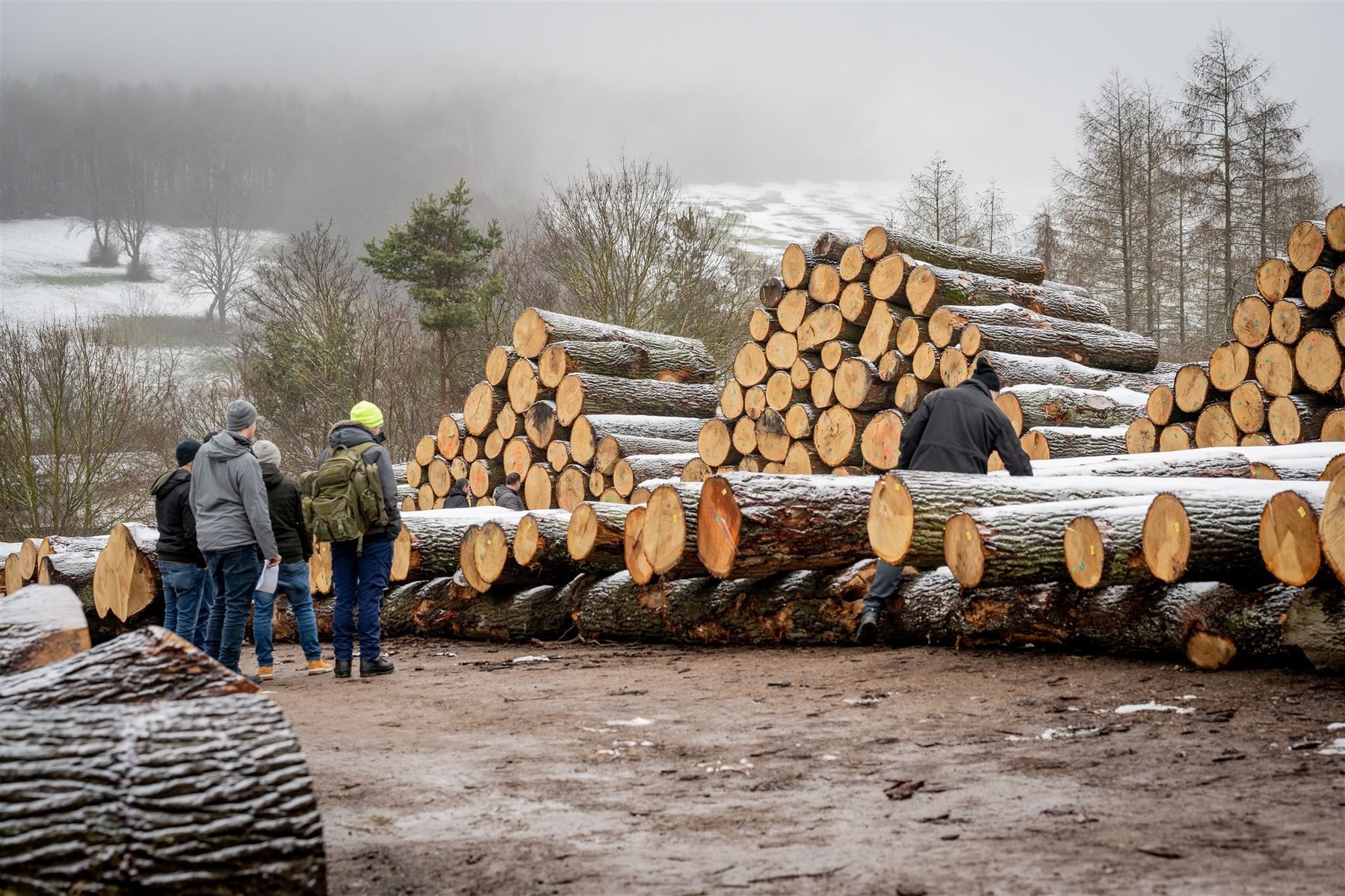 © Georg Pomaßl/LK Niederösterreich © Georg Pomaßl/LK Niederösterreich
