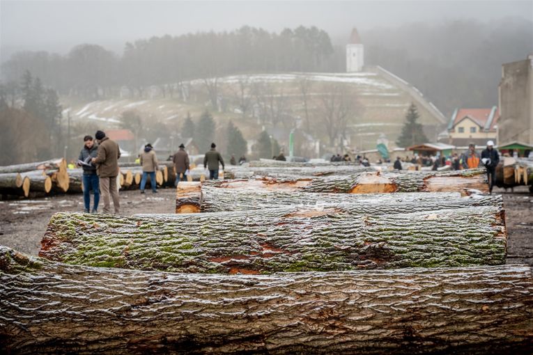 © Georg Pomaßl/LK Niederösterreich