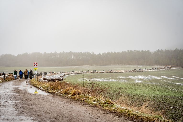 © Georg Pomaßl/LK Niederösterreich