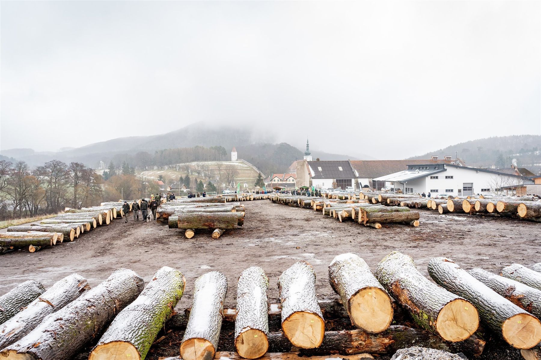 © Georg Pomaßl/LK Niederösterreich © Georg Pomaßl/LK Niederösterreich