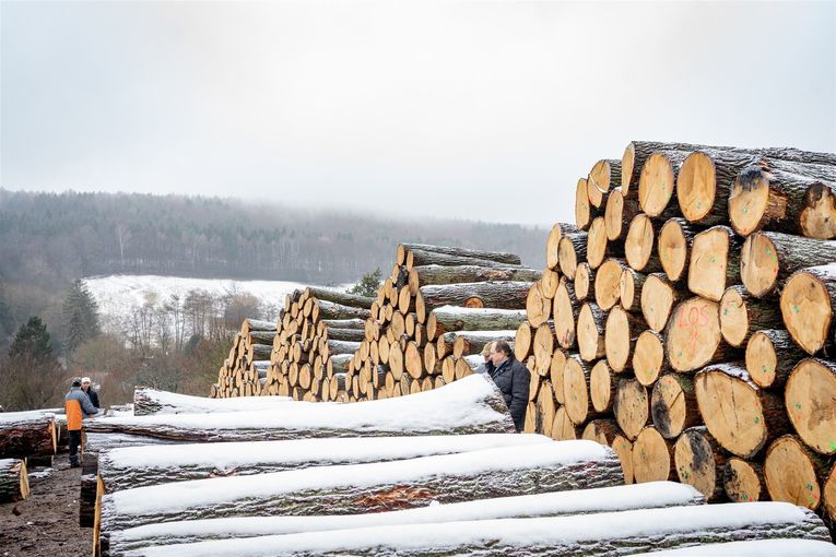 © Georg Pomaßl/LK Niederösterreich