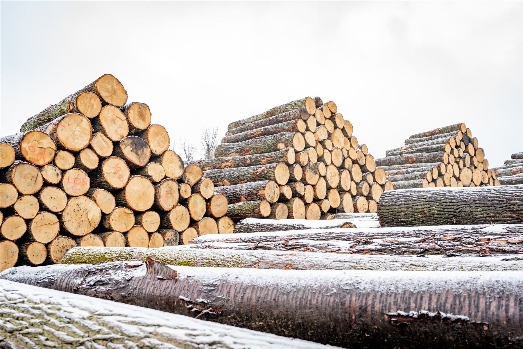 © Georg Pomaßl/LK Niederösterreich © Georg Pomaßl/LK Niederösterreich