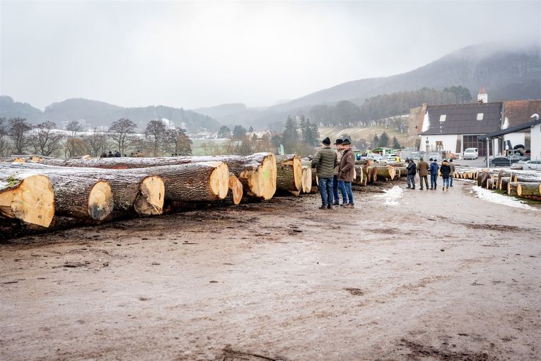 © Georg Pomaßl/LK Niederösterreich