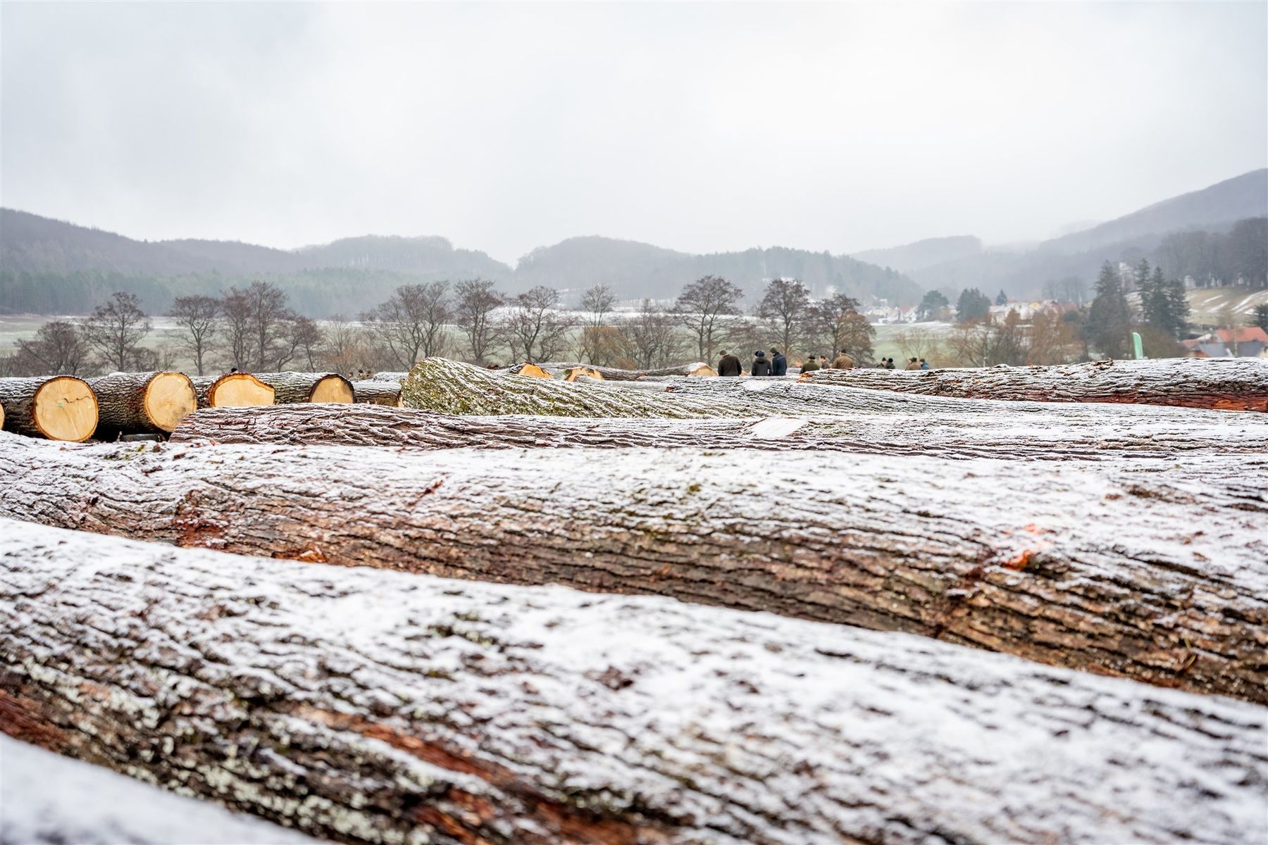 © Georg Pomaßl/LK Niederösterreich © Georg Pomaßl/LK Niederösterreich