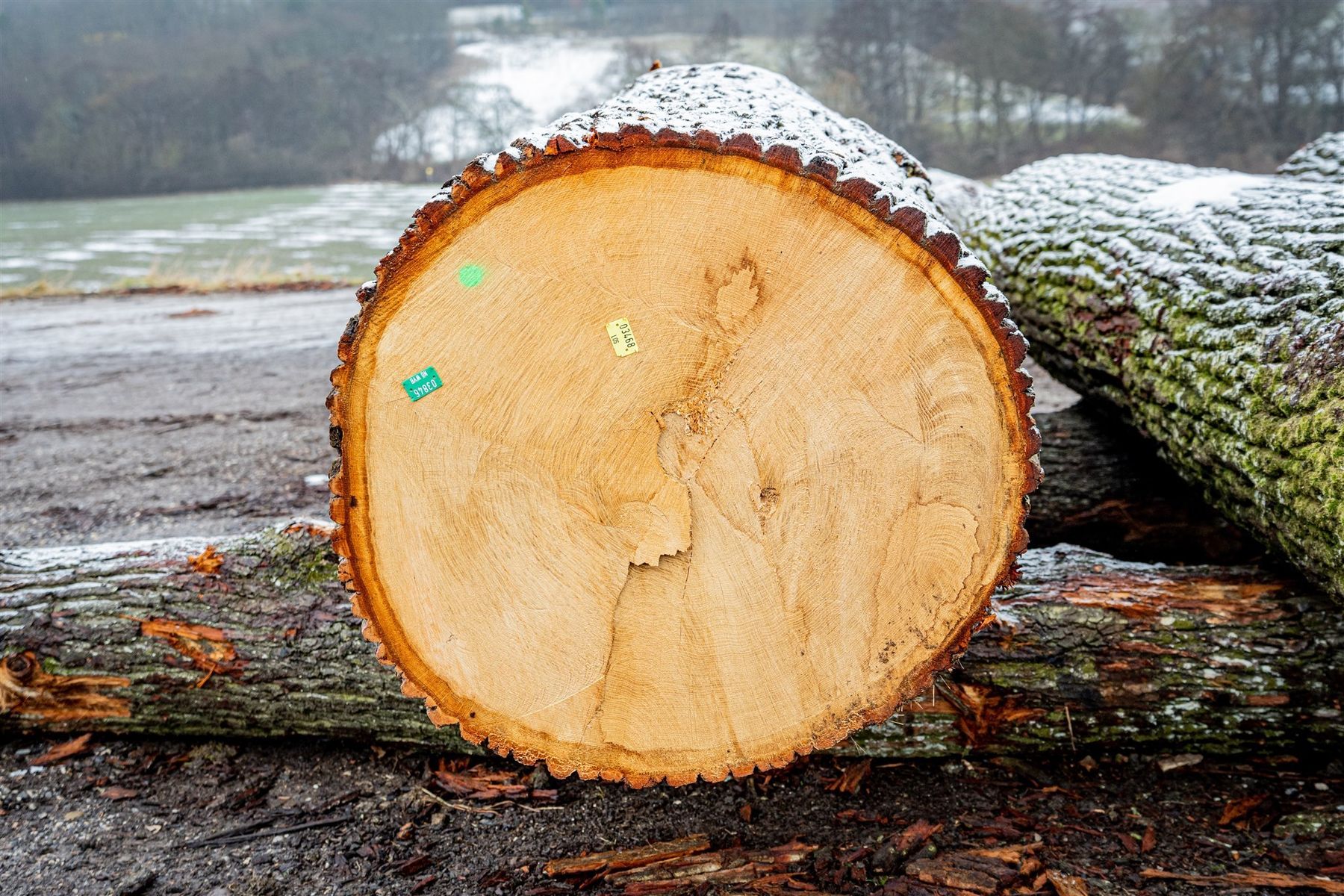 © Georg Pomaßl/LK Niederösterreich © Georg Pomaßl/LK Niederösterreich