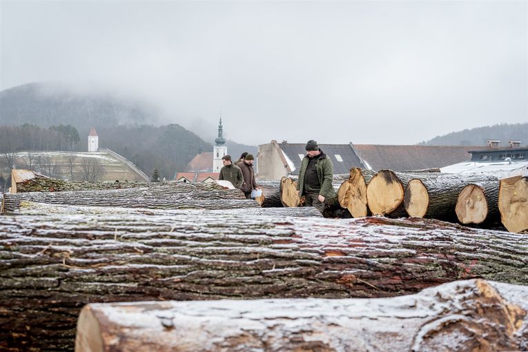 © Georg Pomaßl/LK Niederösterreich