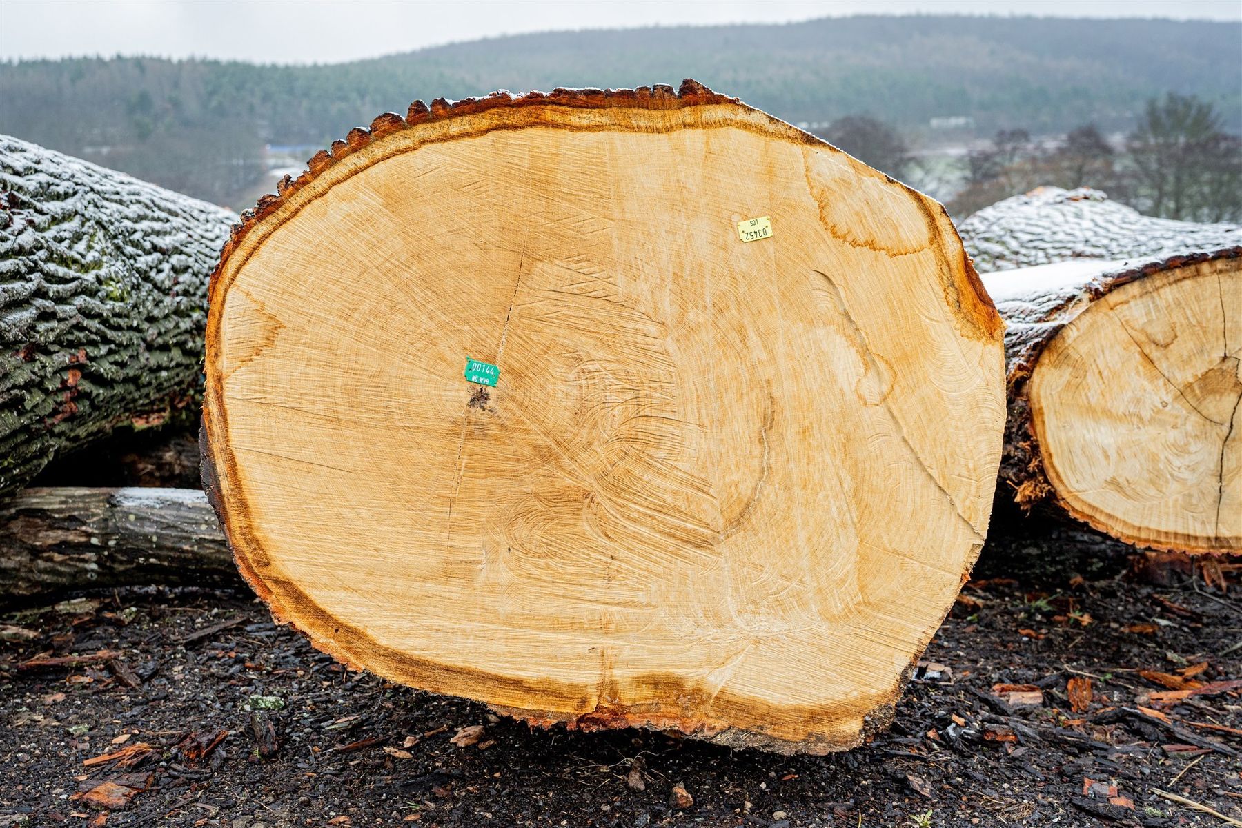 © Georg Pomaßl/LK Niederösterreich © Georg Pomaßl/LK Niederösterreich