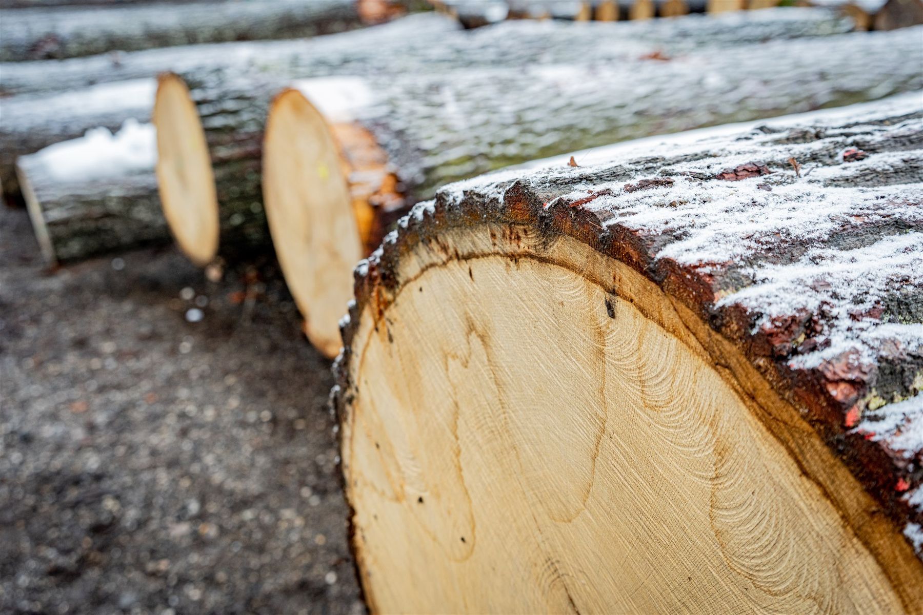 © Georg Pomaßl/LK Niederösterreich © Georg Pomaßl/LK Niederösterreich