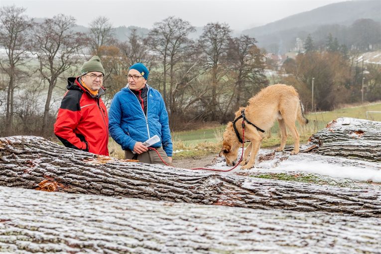 © Georg Pomaßl/LK Niederösterreich