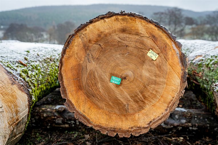 © Georg Pomaßl/LK Niederösterreich