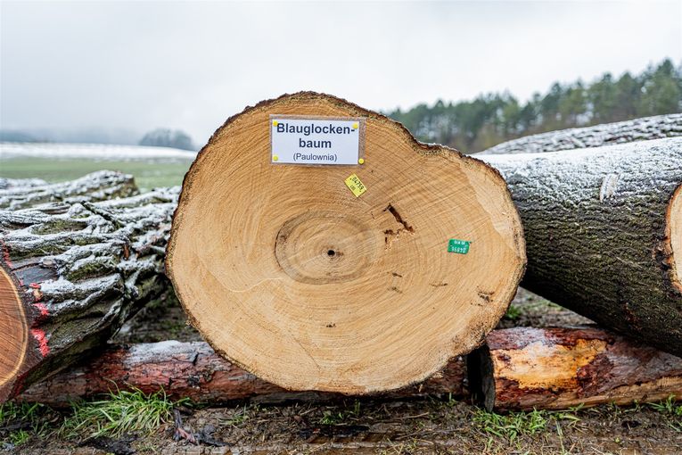 © Georg Pomaßl/LK Niederösterreich