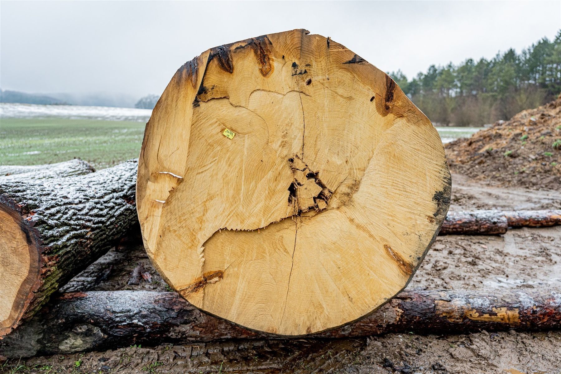 © Georg Pomaßl/LK Niederösterreich © Georg Pomaßl/LK Niederösterreich