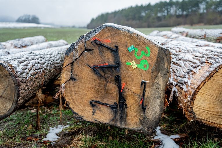 © Georg Pomaßl/LK Niederösterreich