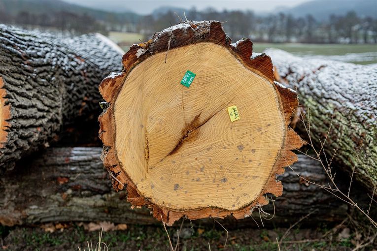 © Georg Pomaßl/LK Niederösterreich