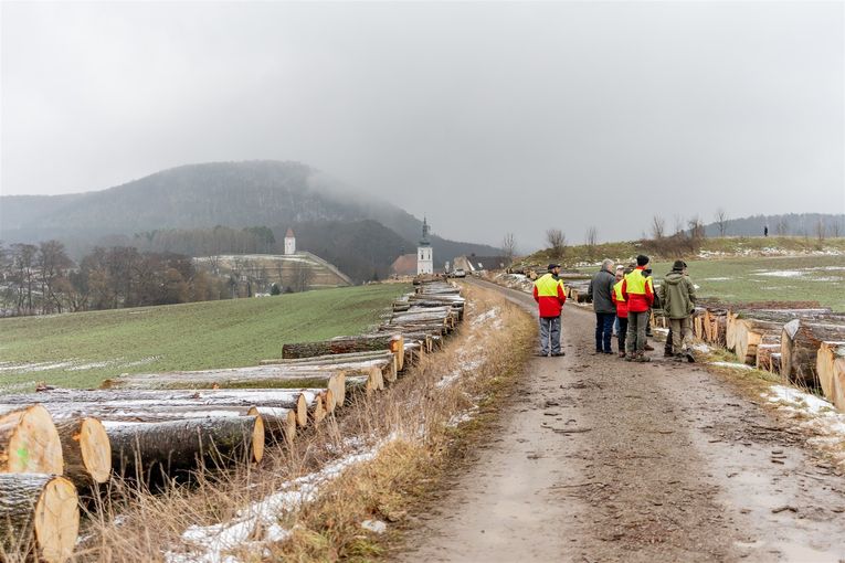 © Georg Pomaßl/LK Niederösterreich