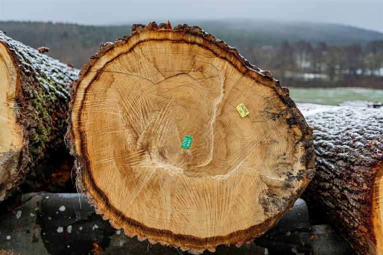 © Georg Pomaßl/LK Niederösterreich