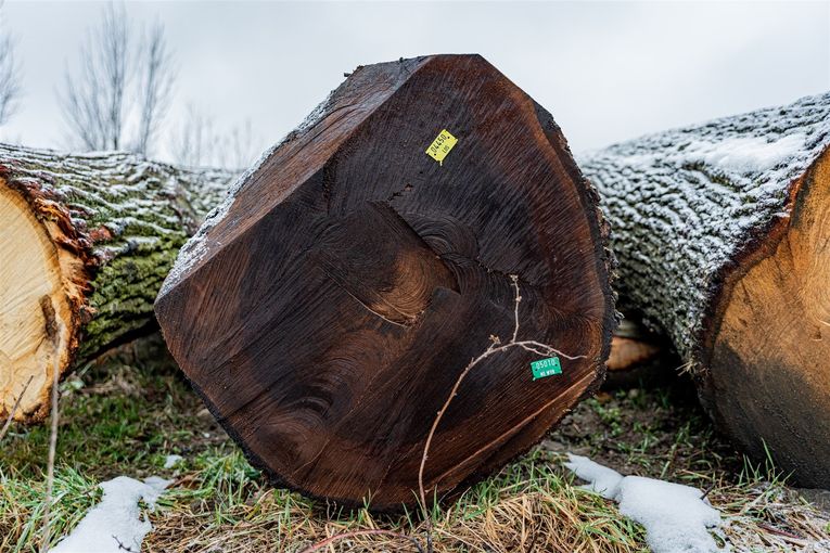 © Georg Pomaßl/LK Niederösterreich