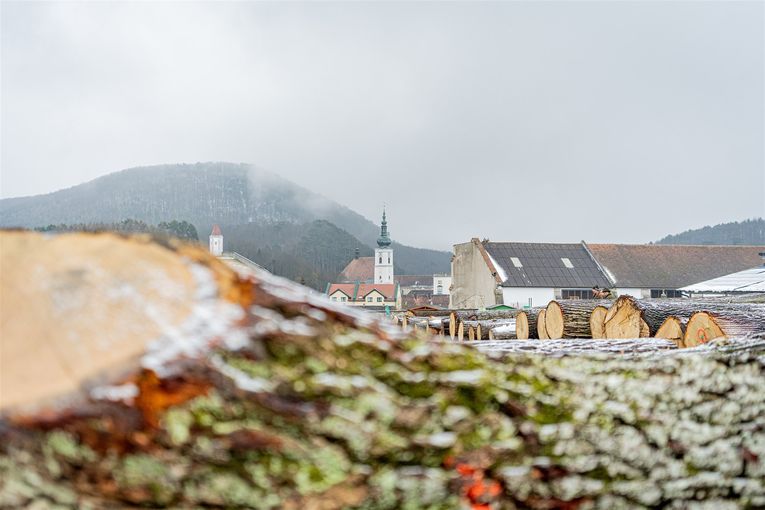 © Georg Pomaßl/LK Niederösterreich