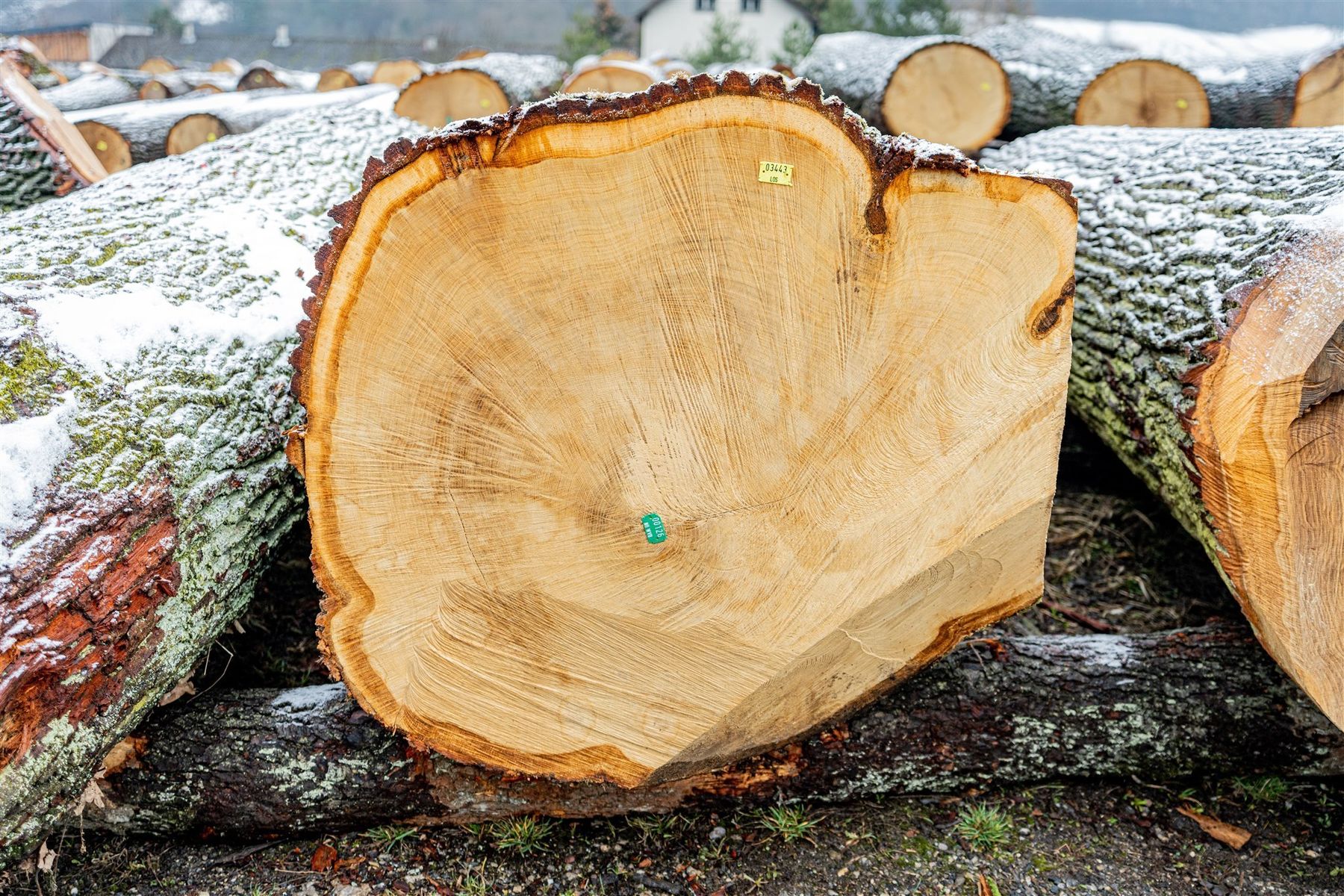 © Georg Pomaßl/LK Niederösterreich © Georg Pomaßl/LK Niederösterreich